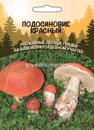 Мицелий Грибы Подосиновик Красный (ССПК) Б-Ф