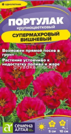 Скриншот 20-08-2026 133138