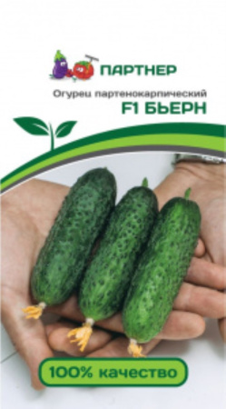 Партнер Огурец БЬЕРН F1 ^(5шт) 2-ной пак