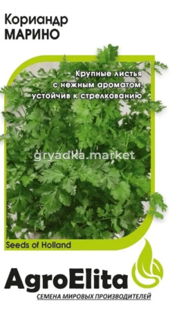 Кориандр (Кинза) Марино 1,0г Энза Заден (АгроЭлита) Голландия