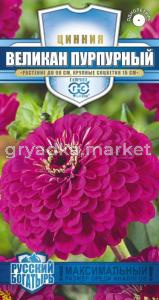 Цинния Великан пурпурный 0,3 г серия Русский богатырь Н18