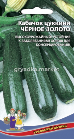 Кабачок Черное Золото (цуккини) (УД) ЧСС -кустовой,цилиндр.,гладкий-
