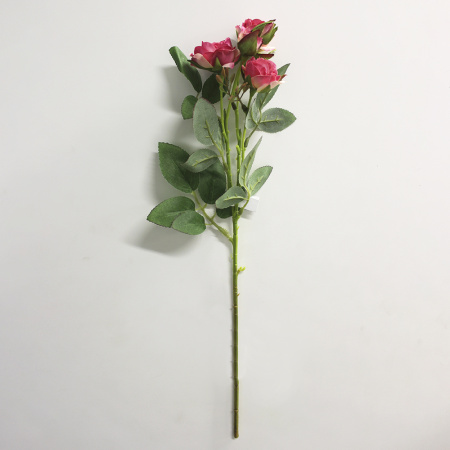 00000185596.3 00000185596.3