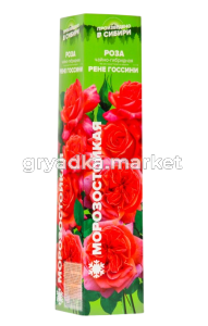 Скриншот 27-03-2025 143730-Photoroom