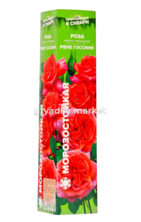 Скриншот 27-03-2025 143730-Photoroom