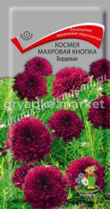 Космея Махровая кнопка Бордовая (ЦВ)(