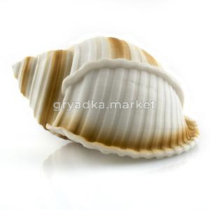 Декорация пластиковая Prime Ракушка 