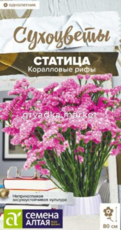 Статица Кис Роуз 7 шт Одн 60см (Сем Алт) Сухоцветы