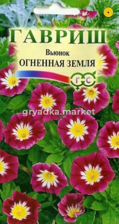 Вьюнок Огненная земля 0,5г Гавриш