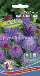 Скабиоза Контрастная 0,1г Одн смесь 90см (УД)