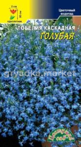 Лобелия Голубая каскад. Цвет.сад