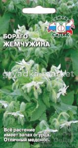 Огуречная трава-Бораго Жемчужина 1гр. Седек