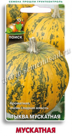 Тыква Мускатная 10шт  (Поиск)