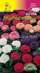 Астра Бордюрные красавцы смесь Цвет.сад