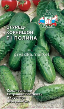 Огурец Полина F1 0,3г (Седек)