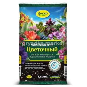 Frame 63518КТ БУБи 01