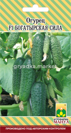 Огурец Богатырская сила F1 Манул