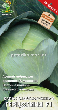 Капуста б-к Герцогиня F1 (ЦВ) 0,2гр.Поиск