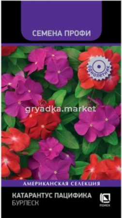 Катарантус Пацифика Брлеск 10шт Одн 25см (Поиск) Профи