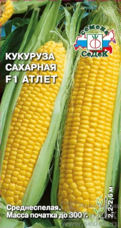 Кукуруза Атлет 4г (Седек)