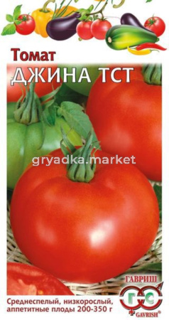 Томат Джина ТСТ 0,1г. Н11 Гавриш