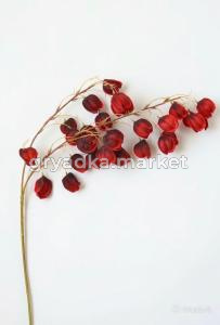 diting_result_8ad112c3a9e011f19a59c6e18f7fe832_1