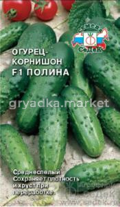 Огурец Полина F1 0,3г (Седек)