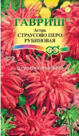 Астра Страусово Перо рубиновая 0,3г Одн 50см (Гавриш)