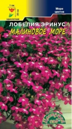 Лобелия Малиновое море Цвет.сад