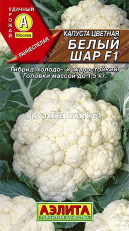 Капуста цветная Белый шар -средн- Аэлита