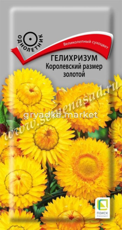 Гелихризум Королевский размер золотой (ЦВ) (