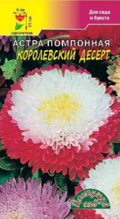 Астра Десерт Королевский помпон.0,2г.Цвет.сад