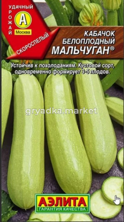 Кабачок Мальчуган белопл. 1гр.Аэлита