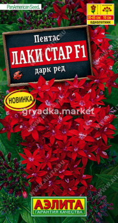 Пентас Лаки стар F1 Дарк ред 3шт Одн 45см (Аэлита) Сел. PanAmerican Seed