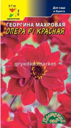 Георгина Опера F1 Красная махровая 0.05г Одн 35см (Цвет сад)