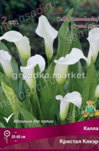 Калла Кристал Клеэр 2шт (темно-зеленый) 