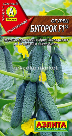 Огурец Бугорок F1 10шт  Парт Ранн (Аэлита)