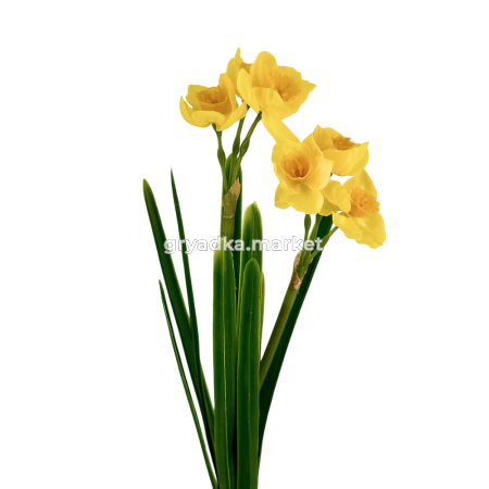 Искусственные цветы Нарцисс из силикона h28см в ассорт. 204852 2