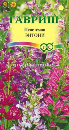 Пенстемон Энтони гибридный 0,1г Одн 50см (Гавриш)