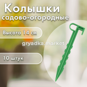 Кт 01