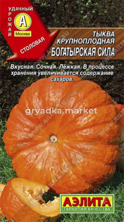 Тыква Богатырская сила, крпнплод. Аэлита