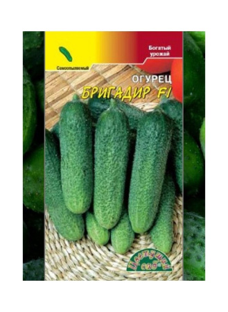 Огурец Бригадир F1 0,3г (Цвет сад)