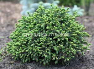 Скриншот 21-04-2026 113426