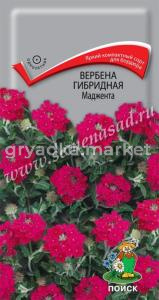 Вербена Маджента гибридная 0,1г Одн 20см (Поиск)