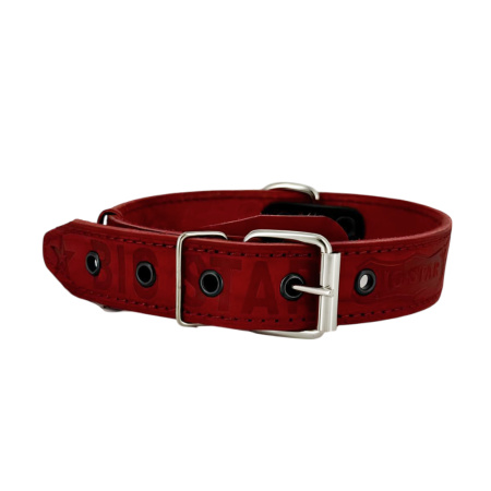 средний ошейник красный 1