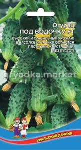 Огурец под Водочку (УД) ЧСС