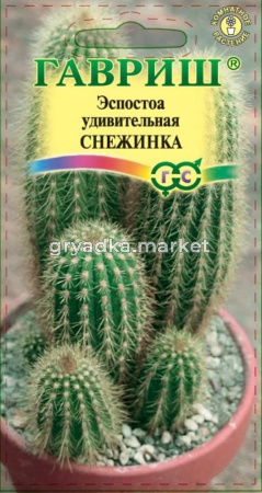Эспостоа удивительная Снежинках 5 шт (Гавриш)