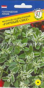 Молочай Горный снег 20шт Престиж