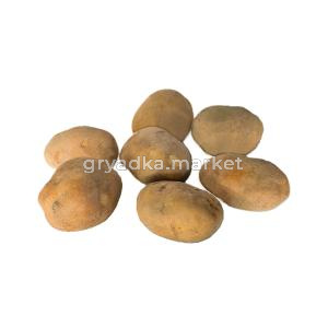 Картофель Лентяй Ср Элита ЭКО сорт 20кг