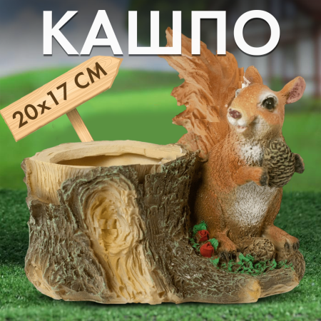 2 2